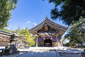 白兎神社